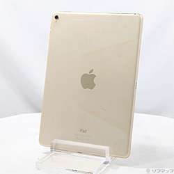 中古iPad Pro 9.7インチ - リコレ！|ビックカメラグループ ソフマップ