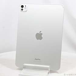 中古iPad Pro 11インチ 第5世代 標準ガラス - リコレ！|ビックカメラ