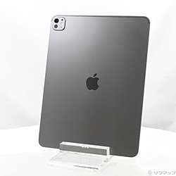 中古iPad Pro 13インチ(M5) 標準ガラス - リコレ！|ビックカメラ