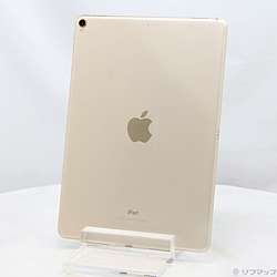 中古iPad Pro 10.5インチ - リコレ！|ビックカメラグループ ソフマップ