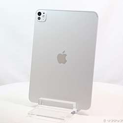 中古iPad Pro 11インチ(M5) 標準ガラス - リコレ！|ビックカメラ