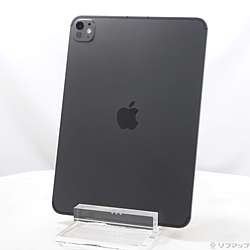 中古iPad Pro 11インチ(M5) 標準ガラス - リコレ！|ビックカメラ