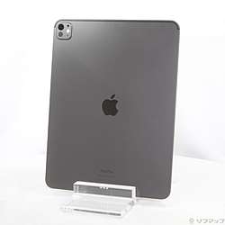 中古】iPad Pro 13インチ 第1世代 標準ガラス 256GB スペースブラック