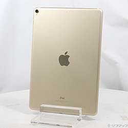 中古iPad Pro 10.5インチ - リコレ！|ビックカメラグループ ソフマップ