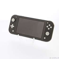 �k���Õi�l Nintendo Switch Lite �O���[