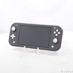 �k���Õi�l Nintendo Switch Lite �O���[