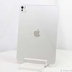 中古iPad Pro 11インチ(M5) 標準ガラス - リコレ！|ビックカメラ