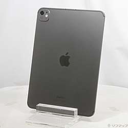 中古iPad Pro 11インチ 第5世代 標準ガラス - リコレ！|ビックカメラ