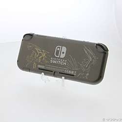 �k���Õi�l Nintendo Switch Lite �f�B�A���K�E�p���L�A