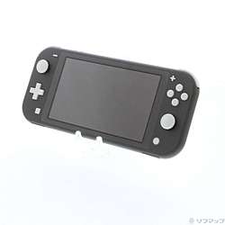 �k���Õi�l Nintendo Switch Lite �O���[