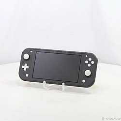 �k���Õi�l Nintendo Switch Lite �O���[