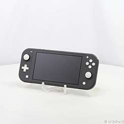 �k���Õi�l Nintendo Switch Lite �O���[