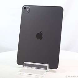 中古iPad Pro 11インチ(M5) 標準ガラス - リコレ！|ビックカメラ