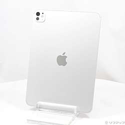 中古iPad Pro 11インチ(M5) 標準ガラス - リコレ！|ビックカメラ