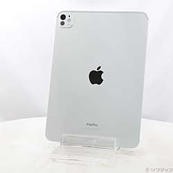 中古iPad Pro 11インチ 第5世代 標準ガラス - リコレ！|ビックカメラ