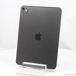 中古iPad Pro 11インチ 第5世代 標準ガラス - リコレ！|ビックカメラ