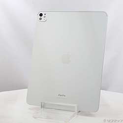 中古】iPad Pro 13インチ 第1世代 Nano-textureガラス 2TB シルバー