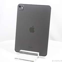 中古iPad Pro 11インチ 第5世代 標準ガラス - リコレ！|ビックカメラ