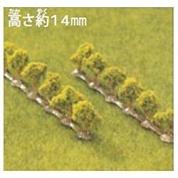 【Nゲージ】茶の木 12本組