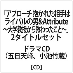 ܓV / r| / Av[`&Attribute CD