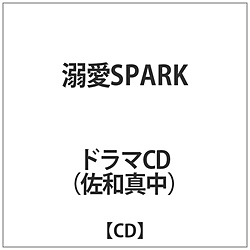 a^ / MSPARK CD