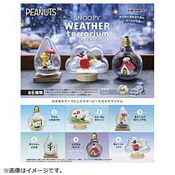 �y�Ĕ́zSNOOPY WEATHER terrarium�i�X�k�[�s�[�E�F�U�[�e�����E���j�y�P�i�z