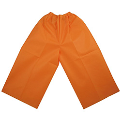 服装基础C裤子橙子4282