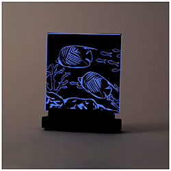 ライトスクラッチ(電池付)