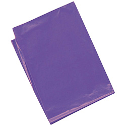 紫色彩色塑料袋(10张组)45541