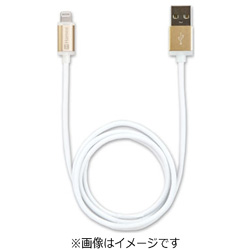 iPad / iPad mini / iPhone / iPod対応　Lightning ⇔ USBケーブル 充電 （1m・ゴールド）　MFi認証　LED1MGL