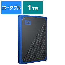 WDBMCG0010BBT-JESN 外付けSSD USB-A接続 My Passport Go  ［ポータブル型 /1TB］