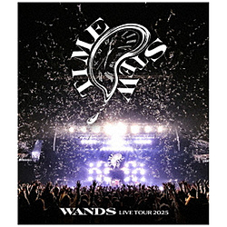 WANDS/ WANDS Live Tour 2025 〜TIME STEW〜