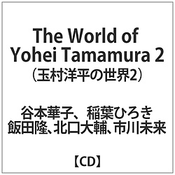 IjoX:The World of Yohei Tamamura2ʑm̐E2