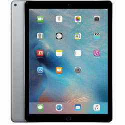 iPad Pro 12.9インチ 第1世代 256GB スペースグレイ ML2L2J／A docomo