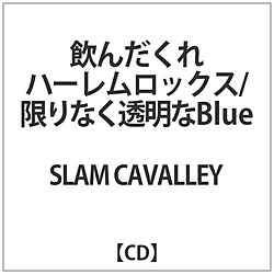 SLAM CAVALLEY / 񂾂n[bNX CD