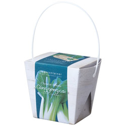 ベジコンテナ　ミニチンゲンサイ