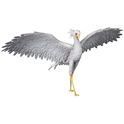 �E���g���f�B�e�[���t�B�M���A No.923 UDF FLOW Secretary bird