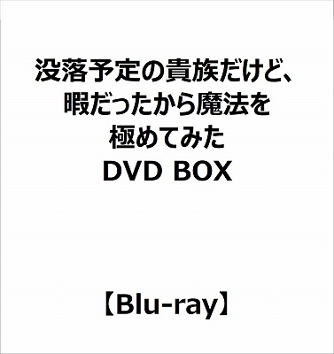 没落予定の貴族だけど、暇だったから魔法を極めてみた DVD BOX