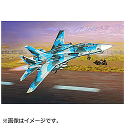 1/72 米海軍 F-14A トムキャット“トップガン”