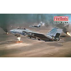 1/72 アメリカ海軍F-14AトムキャットTM湾岸戦争