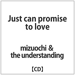 MIZUOCHI&THE UNDERSTANDING / WXgLv~XgDu CD