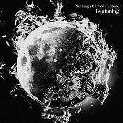 Nothings Carved In Stone / Beginning DVDt CD