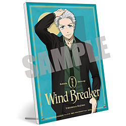 Lrlbg WIND BREAKER@ANA[g{[h@~{ @Dress up ver. WIND BREAKERtFA TΏ