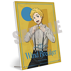 Lrlbg WIND BREAKER@ANA[g{[h@ HF@Dress up ver. WIND BREAKERtFA TΏ