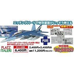 1/48 アメリカ海軍 電子戦機 EA-18Gグラウラー VAQ-129 ヴァイキングス 海軍航空100周年記念塗装機 専用エッチングパーツ付属 イタレリ