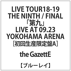 GazettE / LIVE TOUR 18-19 THE NINTH/FINAL BLU yu[Cz
