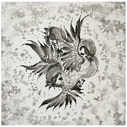 FLOW/ United Sparrows 񐶎Y