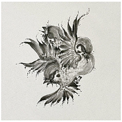FLOW/ United Sparrows ʏ