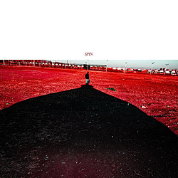 菅田将暉/ SPIN 通常盤