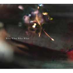 zƂĎJ / uWho What Who Whatv ԐY DVDt CD
